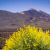 Mr. BikeTeide Tour Ticket - Imagen 8