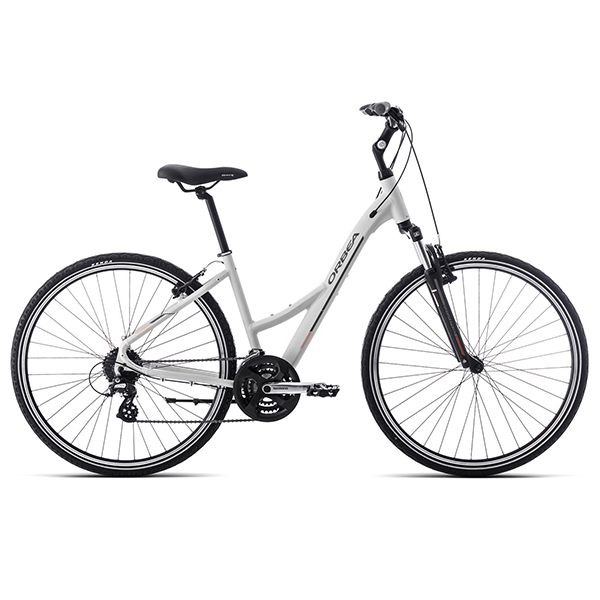 Rent a City Bike